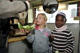 2015-10-21_52_Sauerkraut_machen_mit Schulklasse_RM